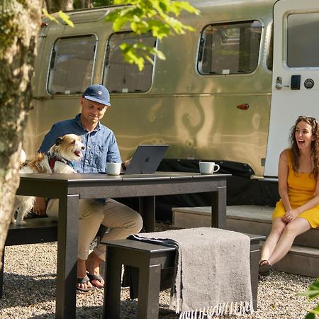 Autocamp Catskills ساوغيرتيس المظهر الخارجي الصورة