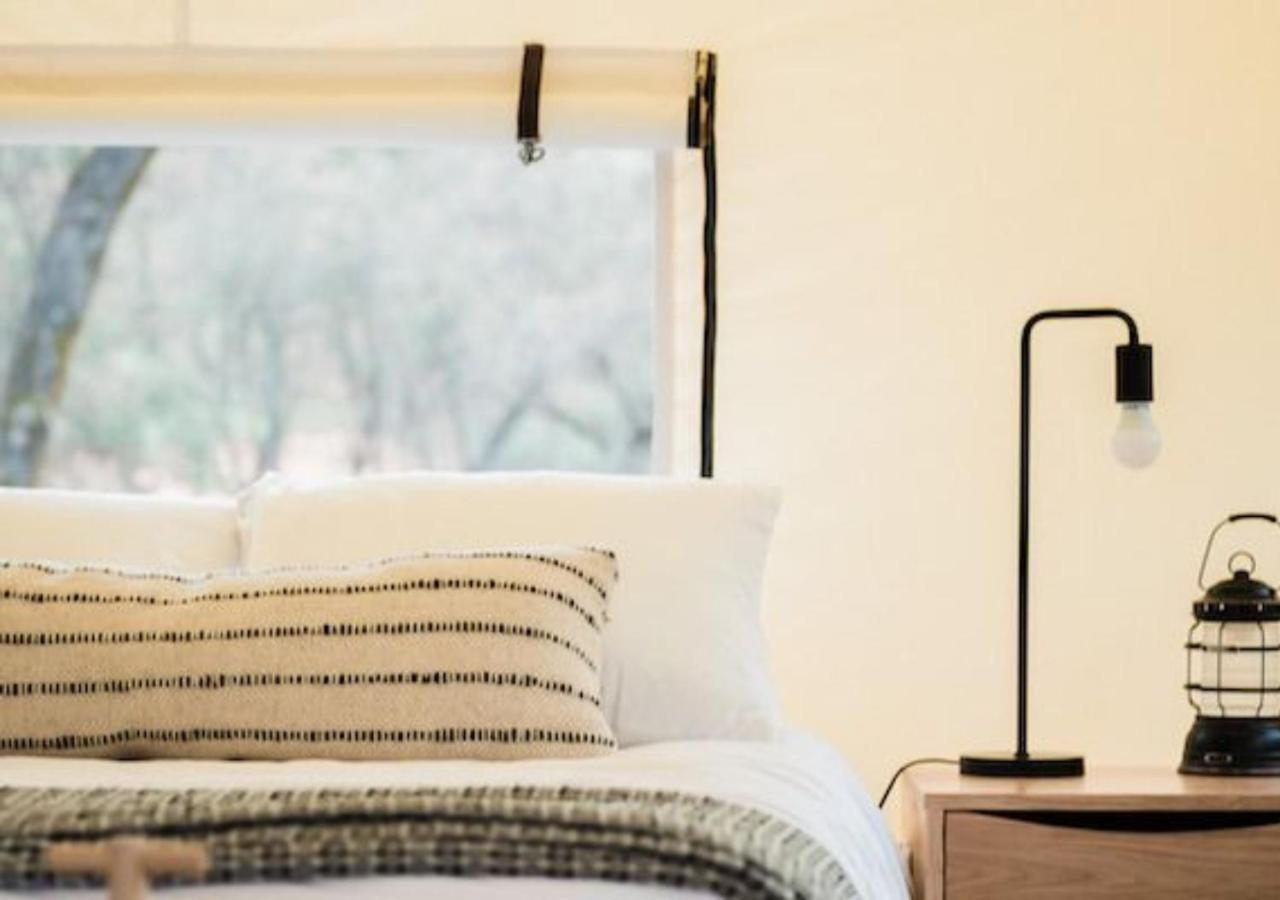 Autocamp Catskills ساوغيرتيس المظهر الخارجي الصورة