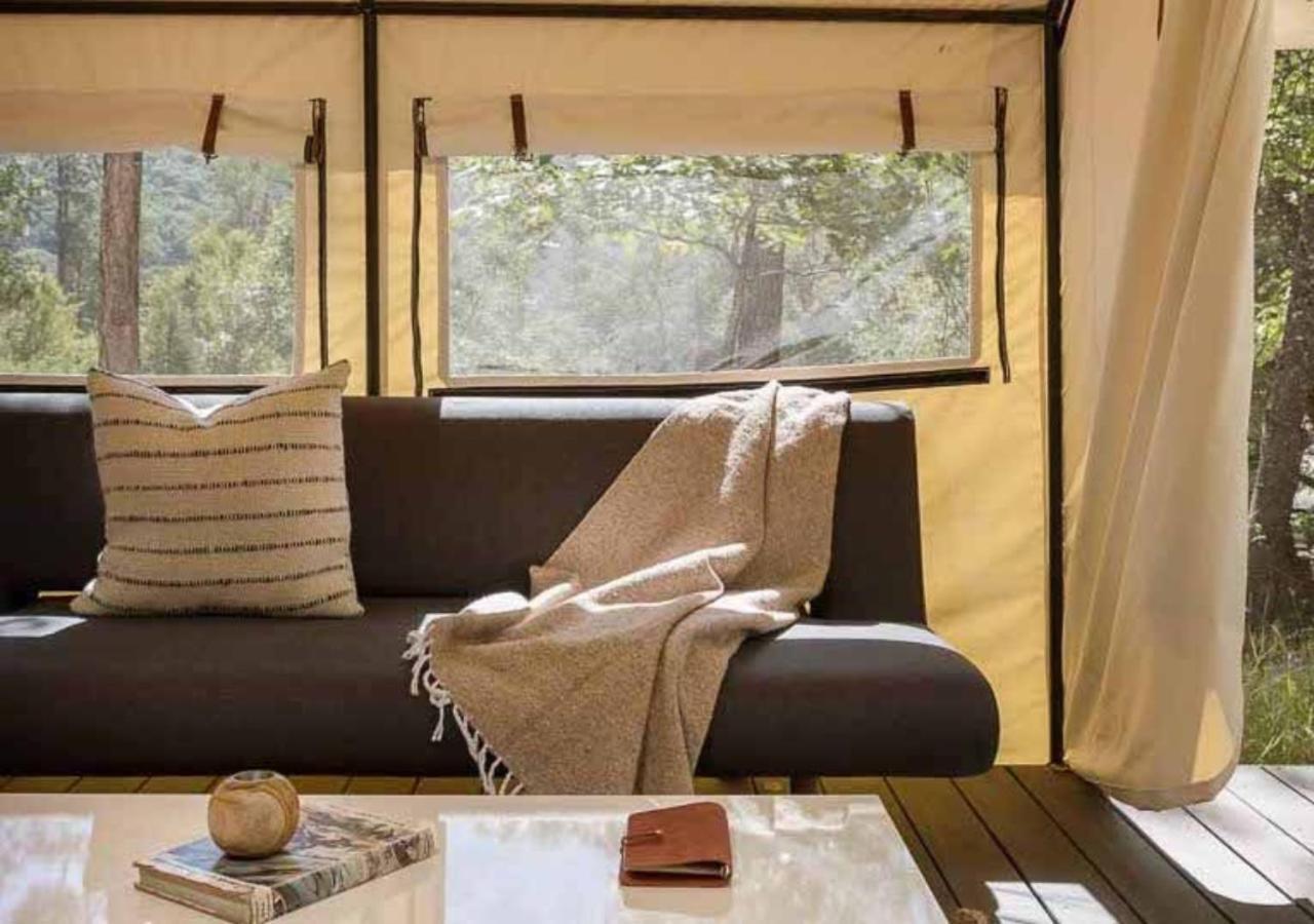 Autocamp Catskills ساوغيرتيس المظهر الخارجي الصورة